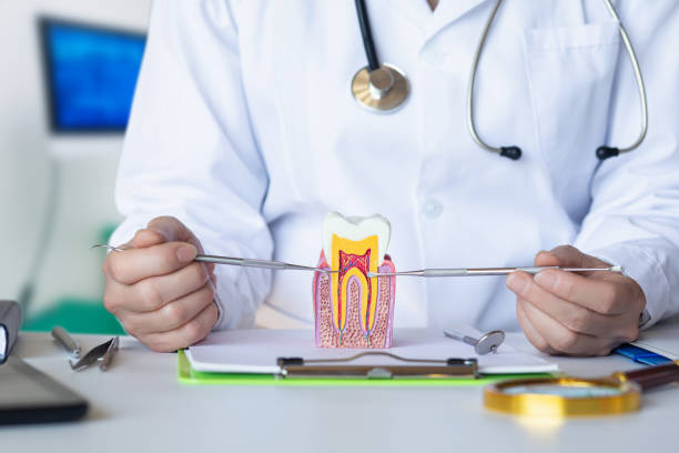 Best Emergency Gum Pain Relief  in Ponca City, OK